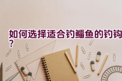 如何选择适合钓鲻鱼的钓钩？