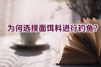 为何选择面饵料进行钓鱼？