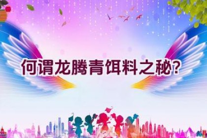 “何谓龙腾青饵料之秘？”