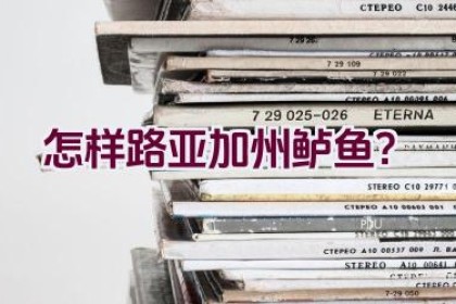 怎样路亚加州鲈鱼？