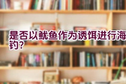 是否以鱿鱼作为诱饵进行海钓？