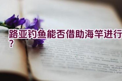 路亚钓鱼能否借助海竿进行？