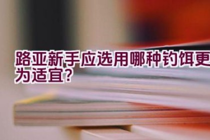 路亚新手应选用哪种钓饵更为适宜？