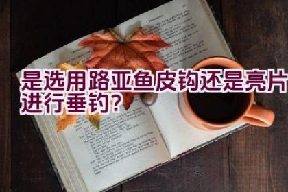 是选用路亚鱼皮钩还是亮片进行垂钓？