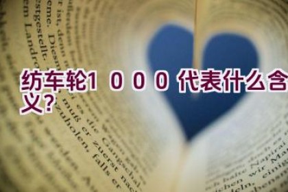 纺车轮1000代表什么含义？
