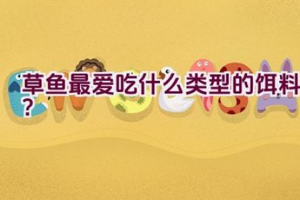 草鱼最爱吃什么类型的饵料？