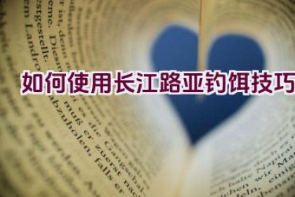 “如何使用长江路亚钓饵技巧”