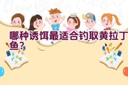 哪种诱饵最适合钓取黄拉丁鱼？