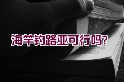 海竿钓路亚可行吗？