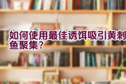 如何使用最佳诱饵吸引黄刺鱼聚集？