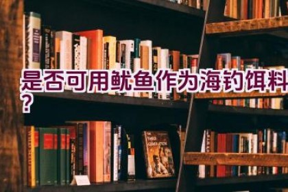 是否可用鱿鱼作为海钓饵料？