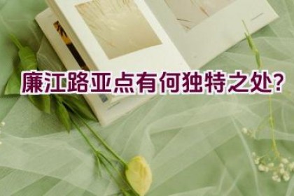 廉江路亚点有何独特之处？