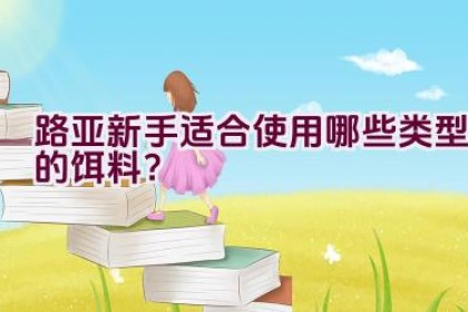 路亚新手适合使用哪些类型的饵料？