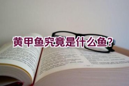 黄甲鱼究竟是什么鱼？