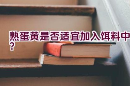 熟蛋黄是否适宜加入饵料中？