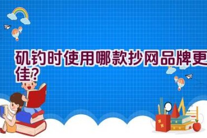 矶钓时使用哪款抄网品牌更佳？