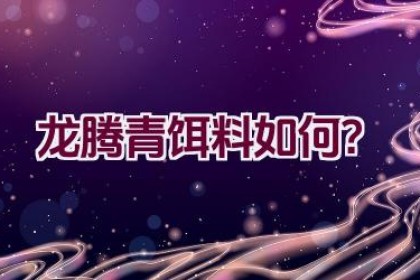 “龙腾青饵料如何？”