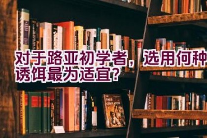 对于路亚初学者，选用何种诱饵最为适宜？