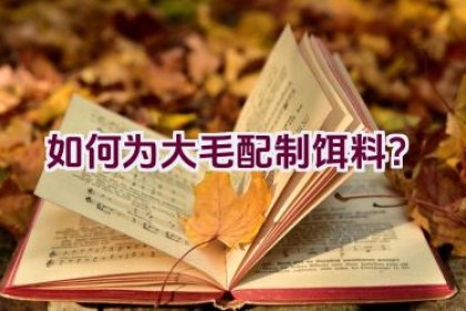 如何为大毛配制饵料？