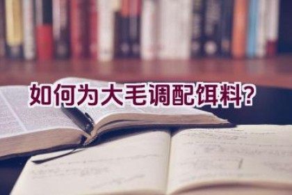 如何为大毛调配饵料？