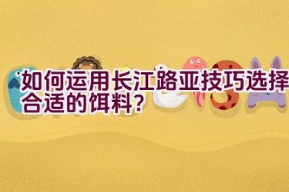 如何运用长江路亚技巧选择合适的饵料？