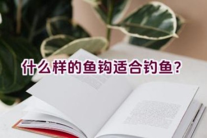 什么样的鱼钩适合钓鱼？