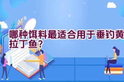 哪种饵料最适合用于垂钓黄拉丁鱼？