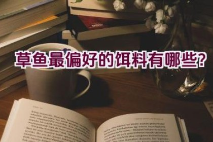 草鱼最偏好的饵料有哪些？