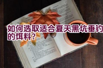 如何选取适合夏天黑坑垂钓的饵料？