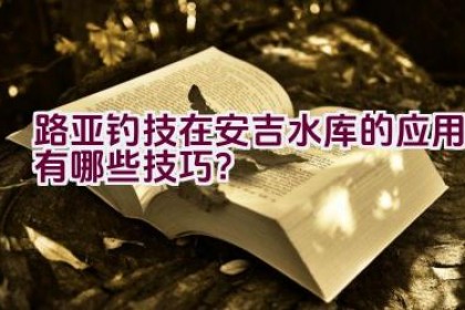 路亚钓技在安吉水库的应用有哪些技巧？