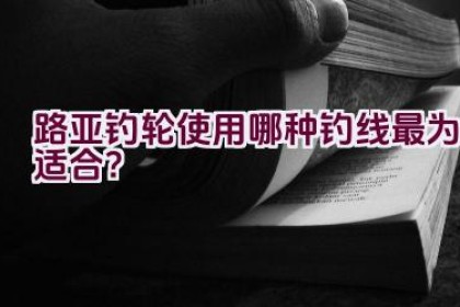 路亚钓轮使用哪种钓线最为适合？