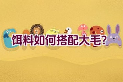 饵料如何搭配大毛？