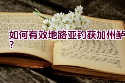 如何有效地路亚钓获加州鲈？