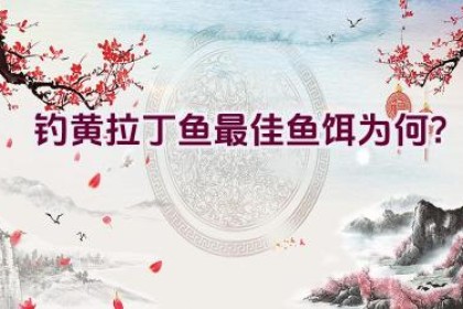 钓黄拉丁鱼最佳鱼饵为何？