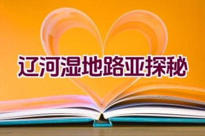 辽河湿地路亚探秘