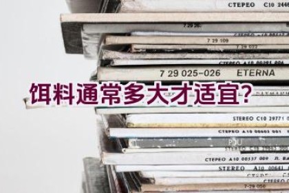 饵料通常多大才适宜？