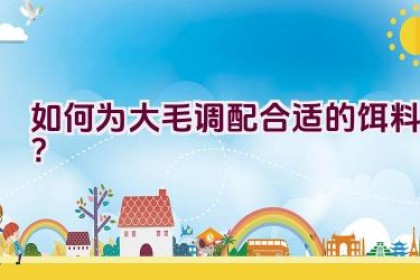 如何为大毛调配合适的饵料？