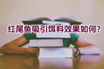 红尾鱼吸引饵料效果如何？