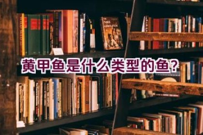 黄甲鱼是什么类型的鱼？
