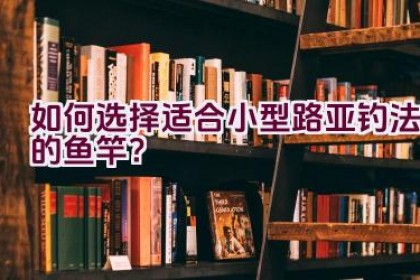 如何选择适合小型路亚钓法的鱼竿？
