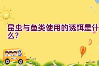 昆虫与鱼类使用的诱饵是什么？