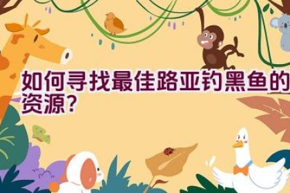 如何寻找最佳路亚钓黑鱼的资源？