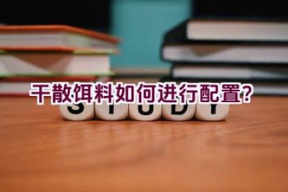 干散饵料如何进行配置？