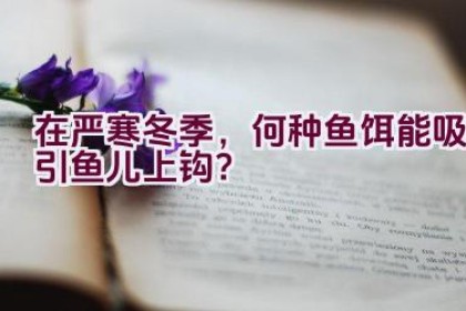 在严寒冬季，何种鱼饵能吸引鱼儿上钩？