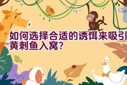 如何选择合适的诱饵来吸引黄刺鱼入窝？