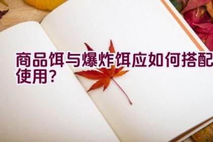 商品饵与爆炸饵应如何搭配使用？