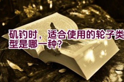 矶钓时，适合使用的轮子类型是哪一种？