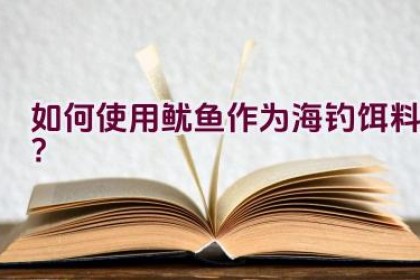 如何使用鱿鱼作为海钓饵料？