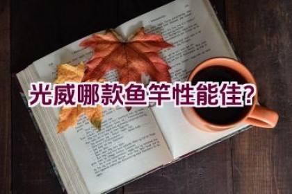 光威哪款鱼竿性能佳？