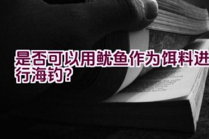 是否可以用鱿鱼作为饵料进行海钓？